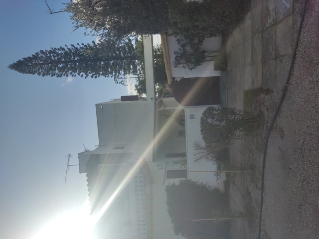 photo0