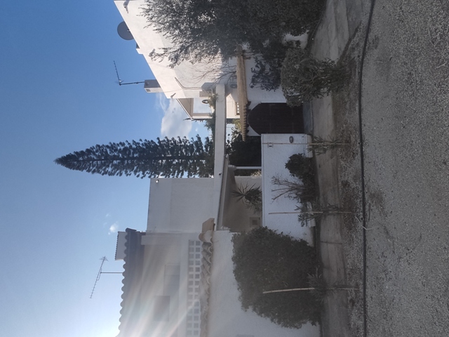 photo1