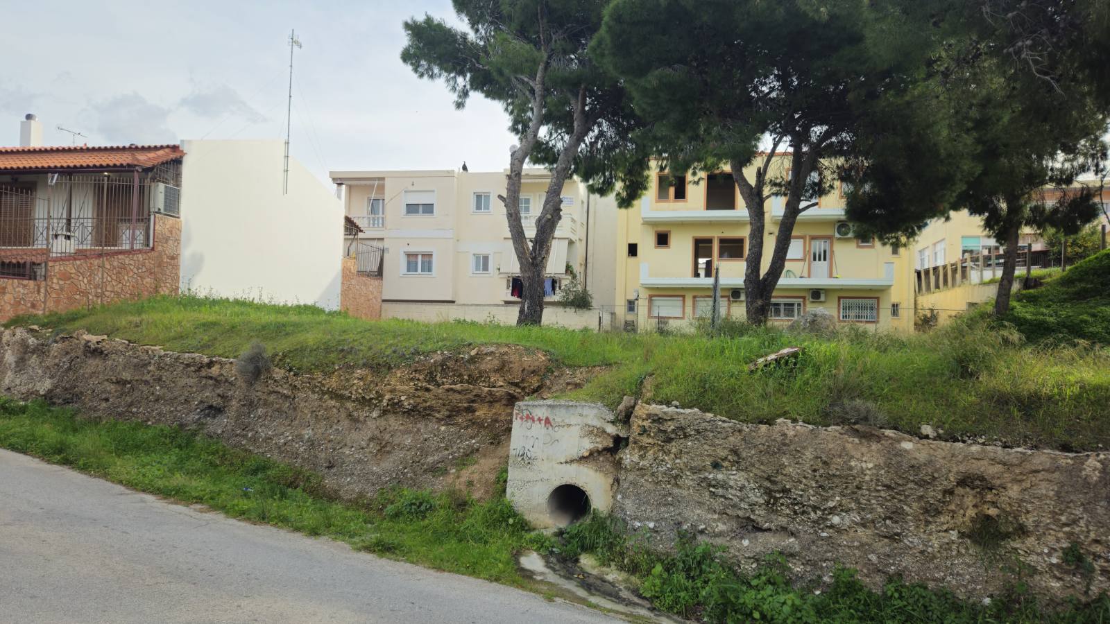 photo1