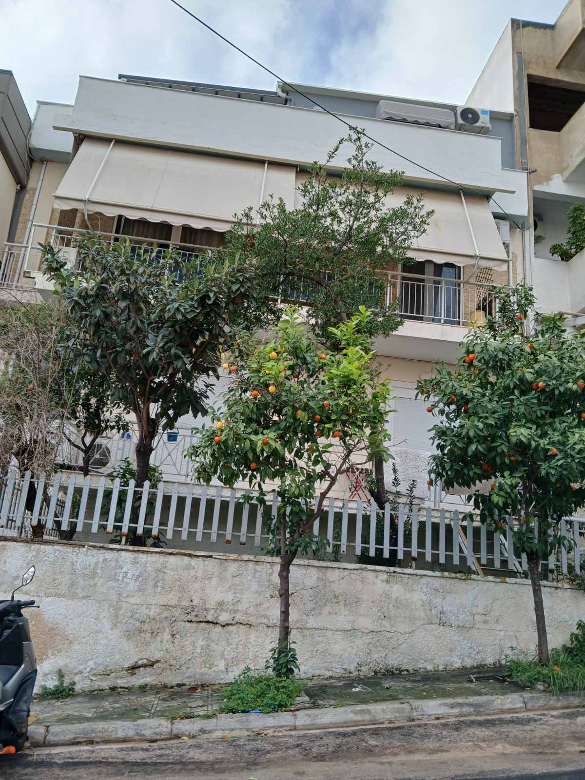 photo1