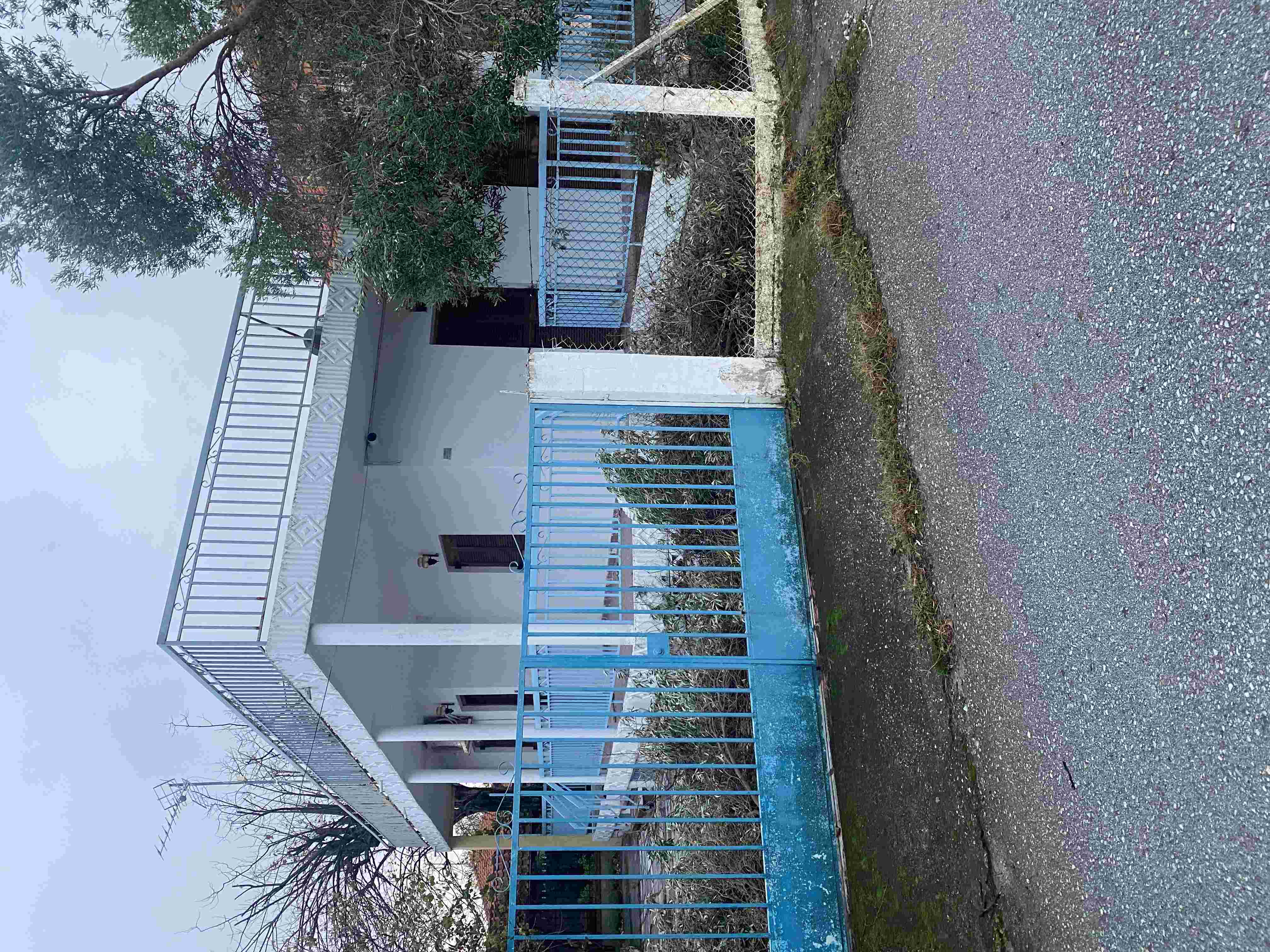 photo0