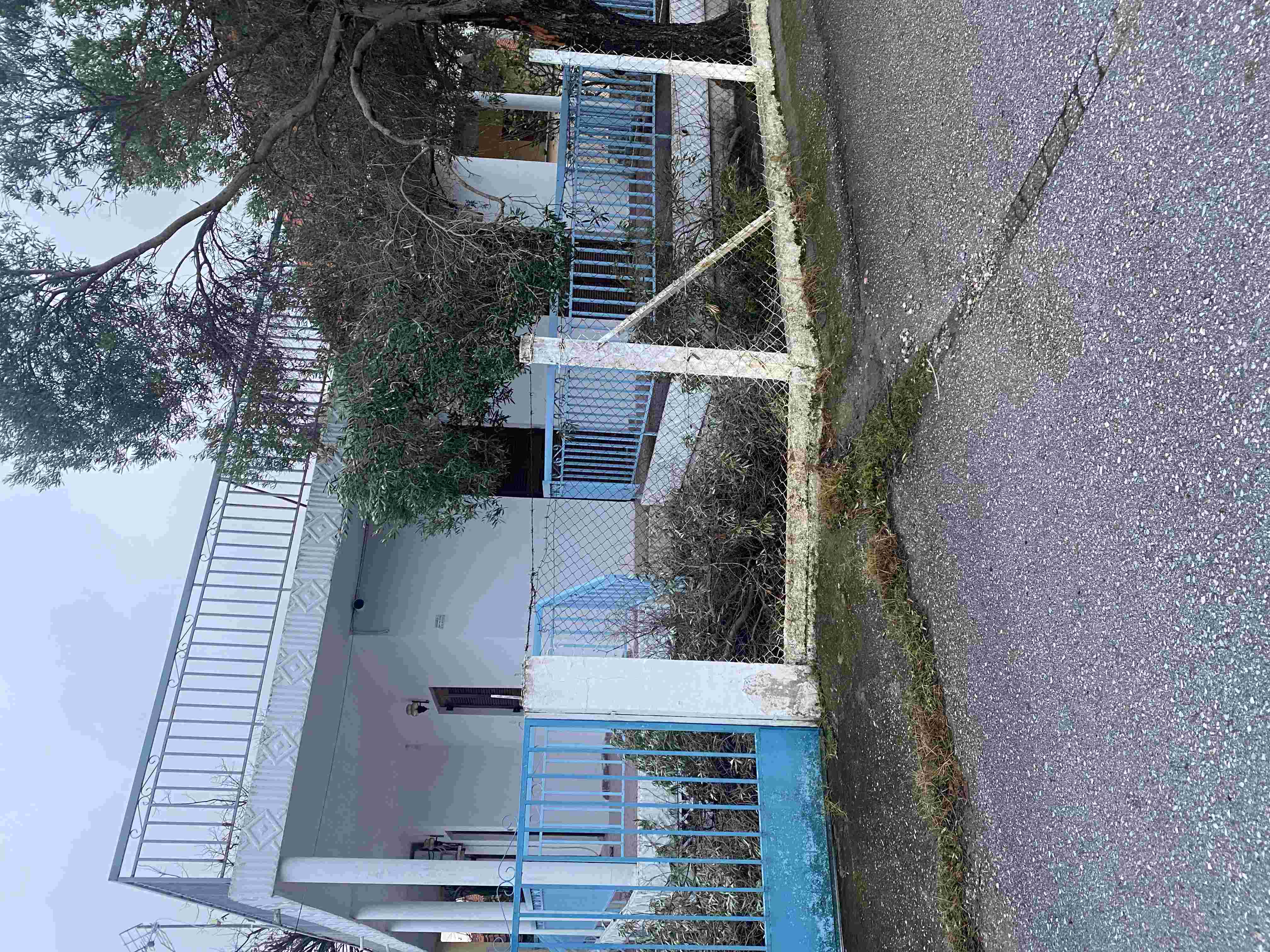 photo2