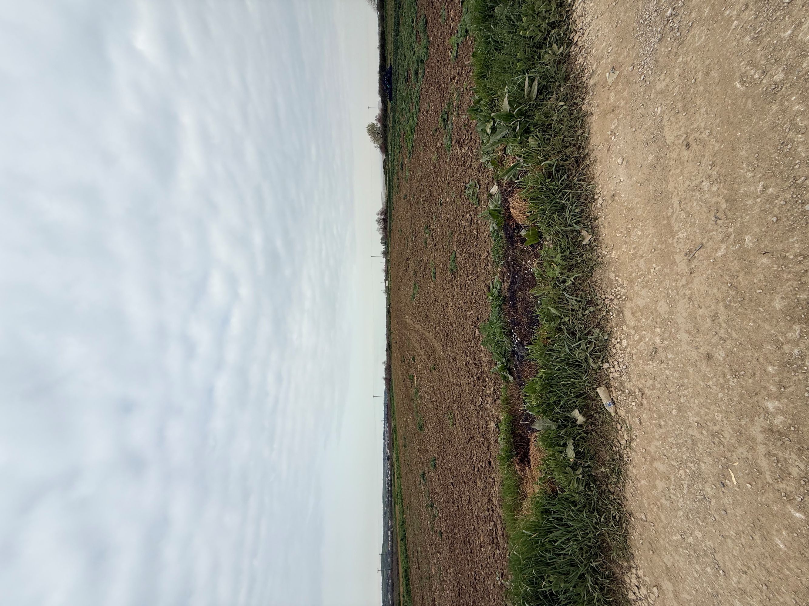 photo0