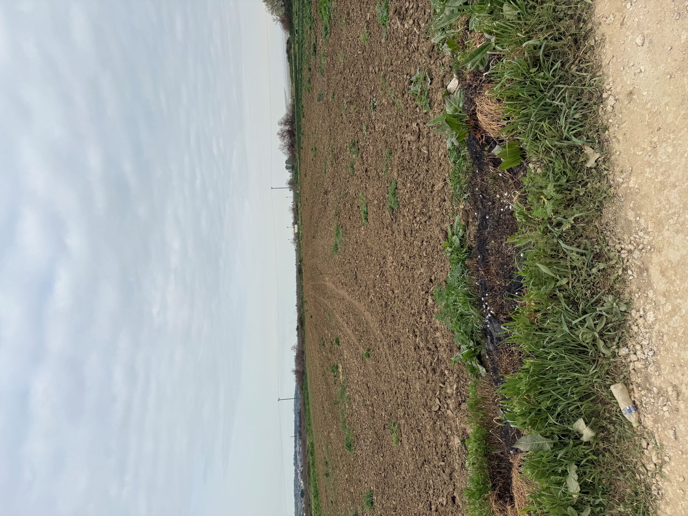photo1