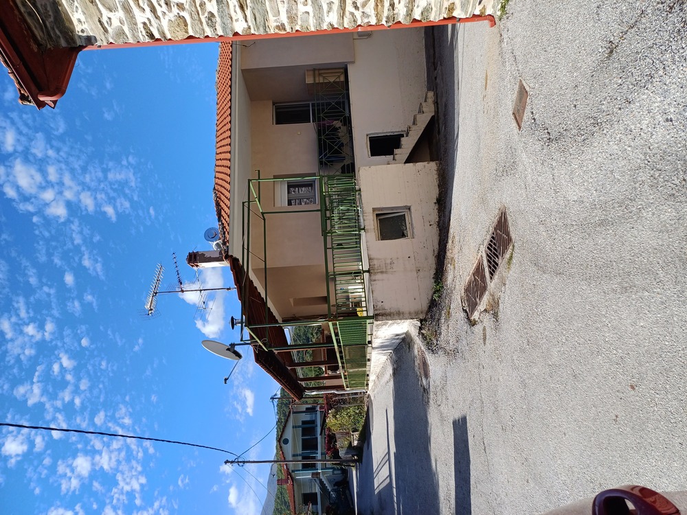 photo0