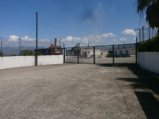 photo0
