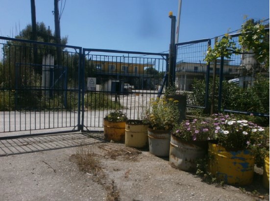 photo1
