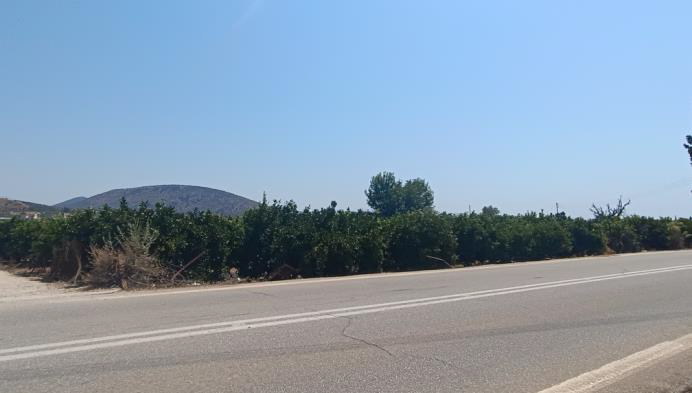 Αγροτεμάχιο 319 τ.μ. σε πλειστηριασμό Δήμος Ναυπλιέων