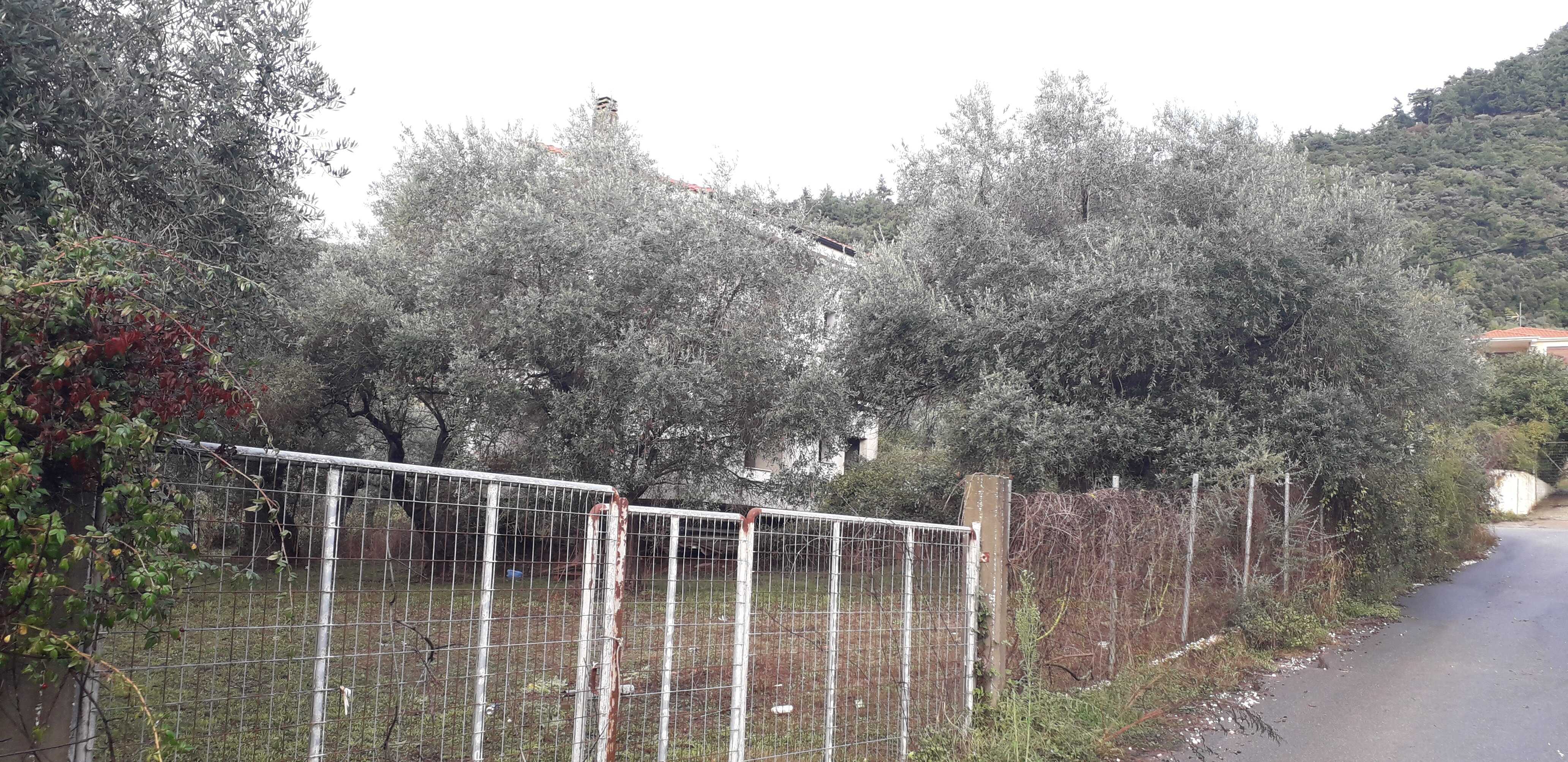 photo0