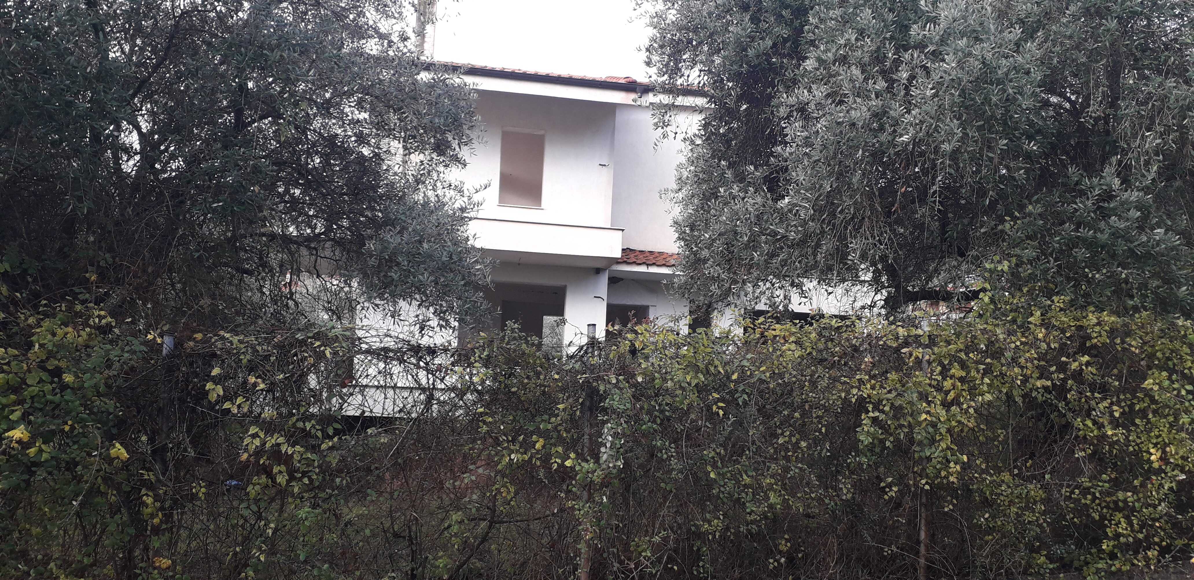 photo1