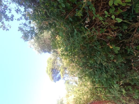 photo1