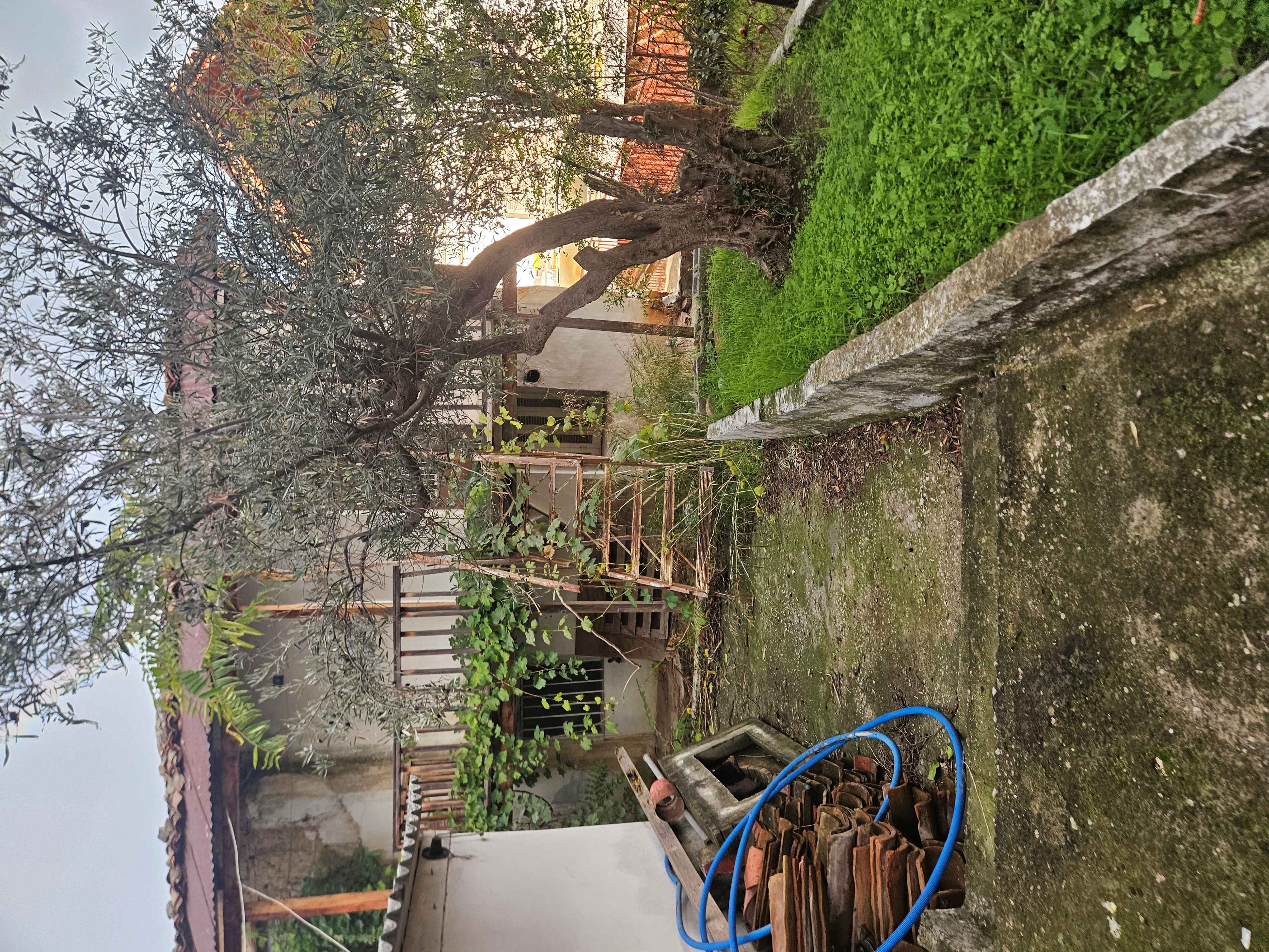 photo1