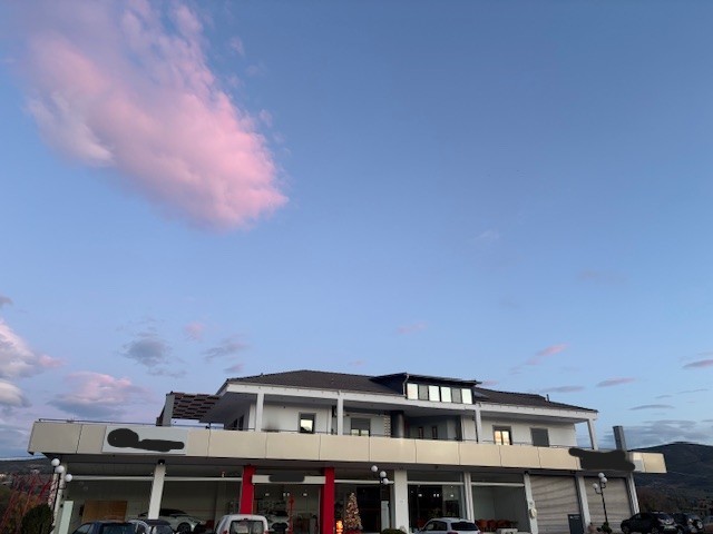 photo1