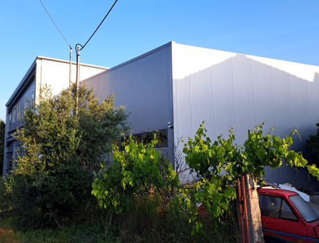 photo1