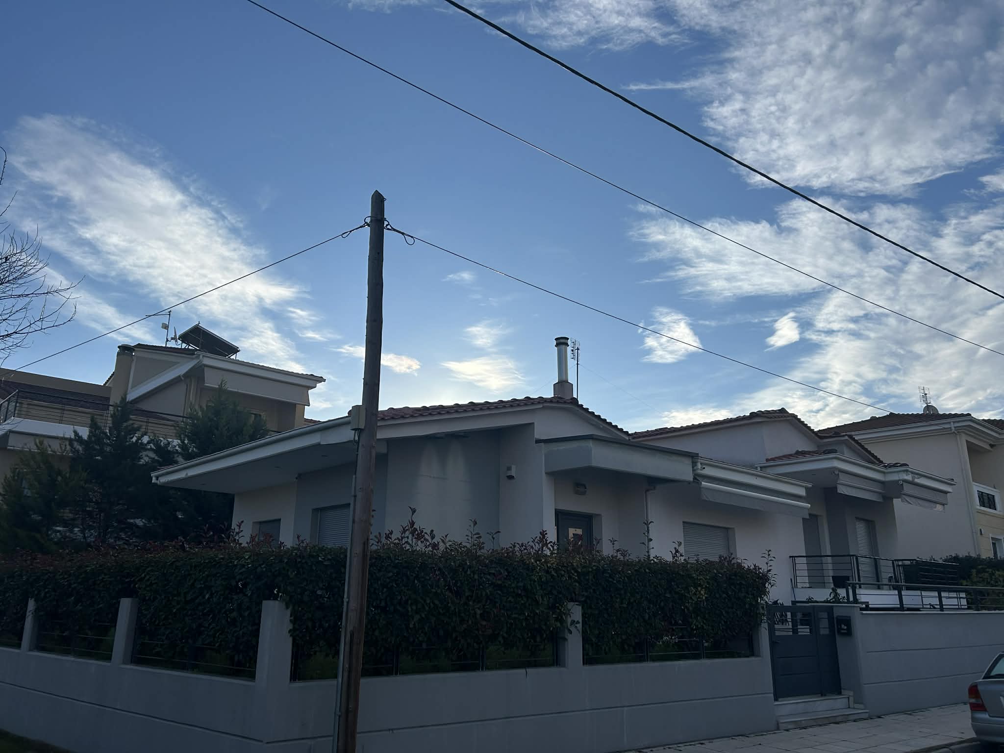 photo1