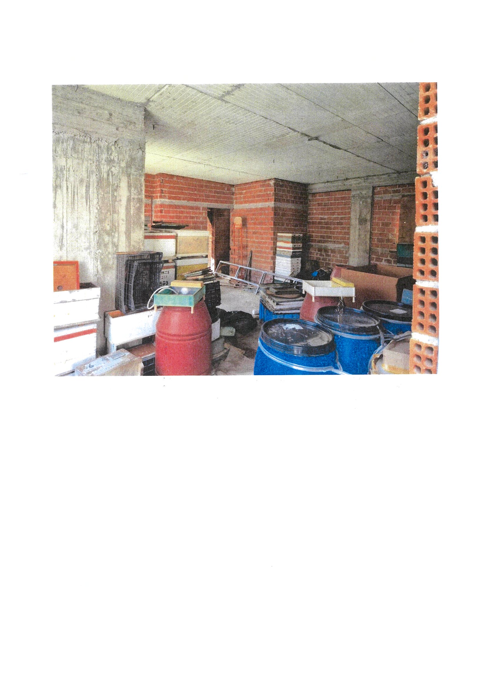 photo6