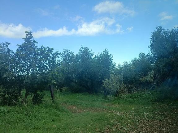 photo0