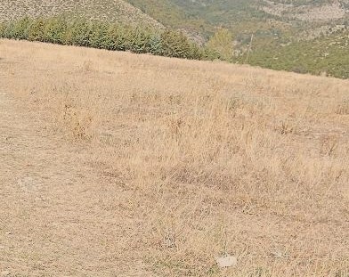 Οικόπεδο  σε πλειστηριασμό Δήμος Κοζάνης