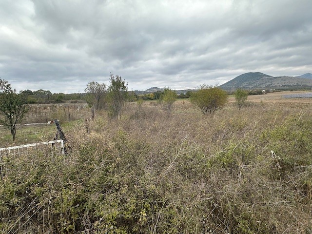 photo1