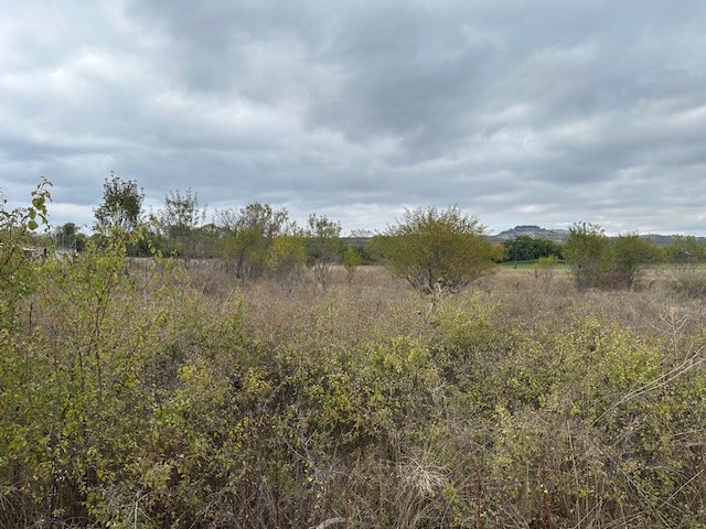 photo2