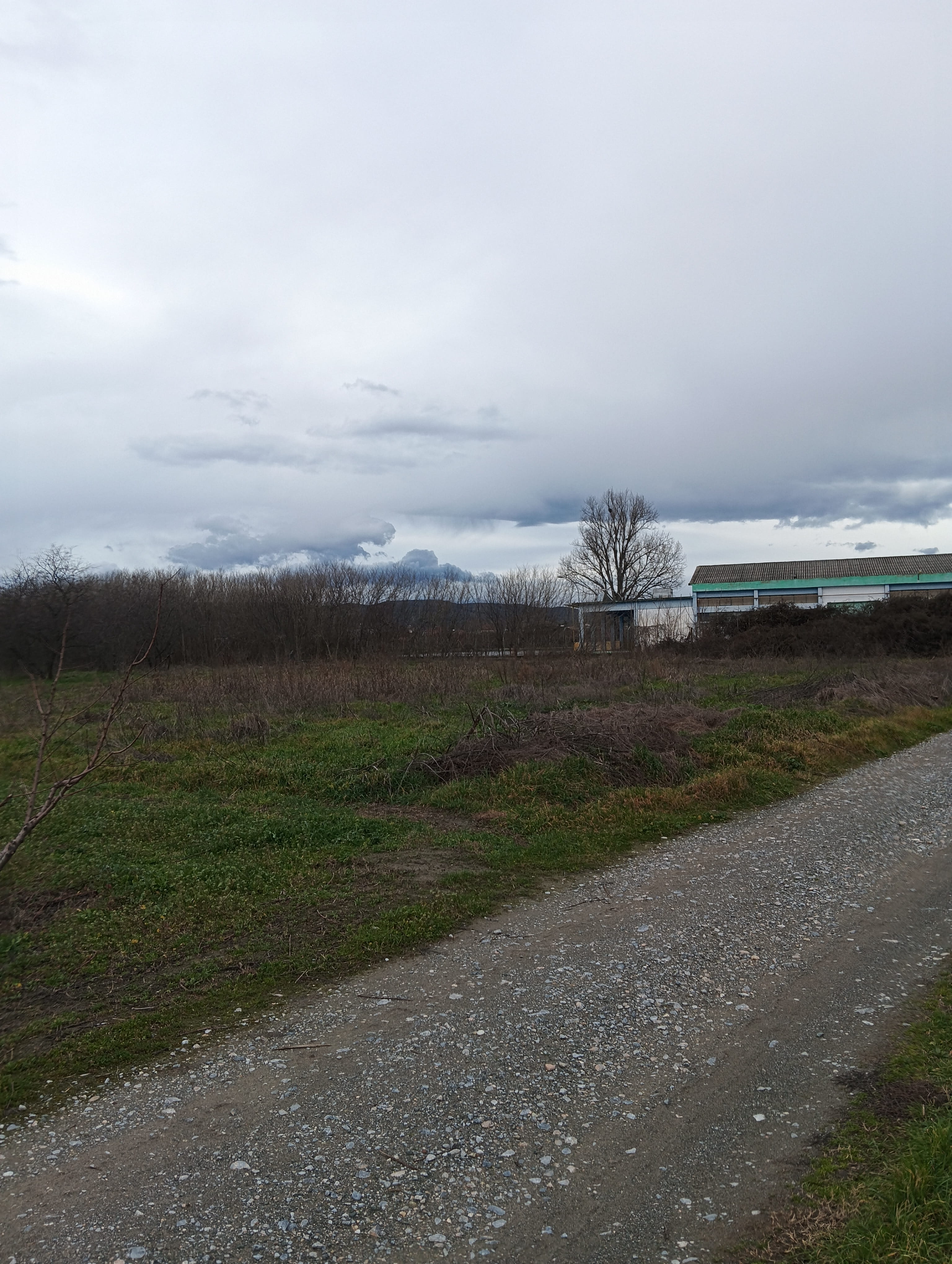 photo0