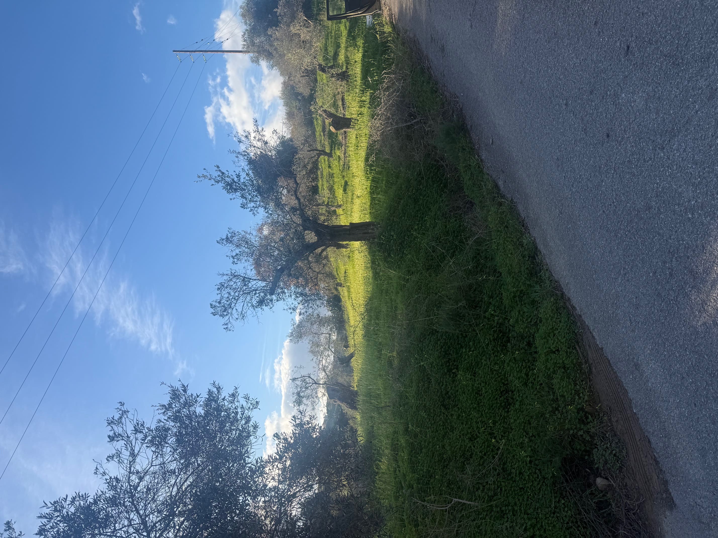photo0