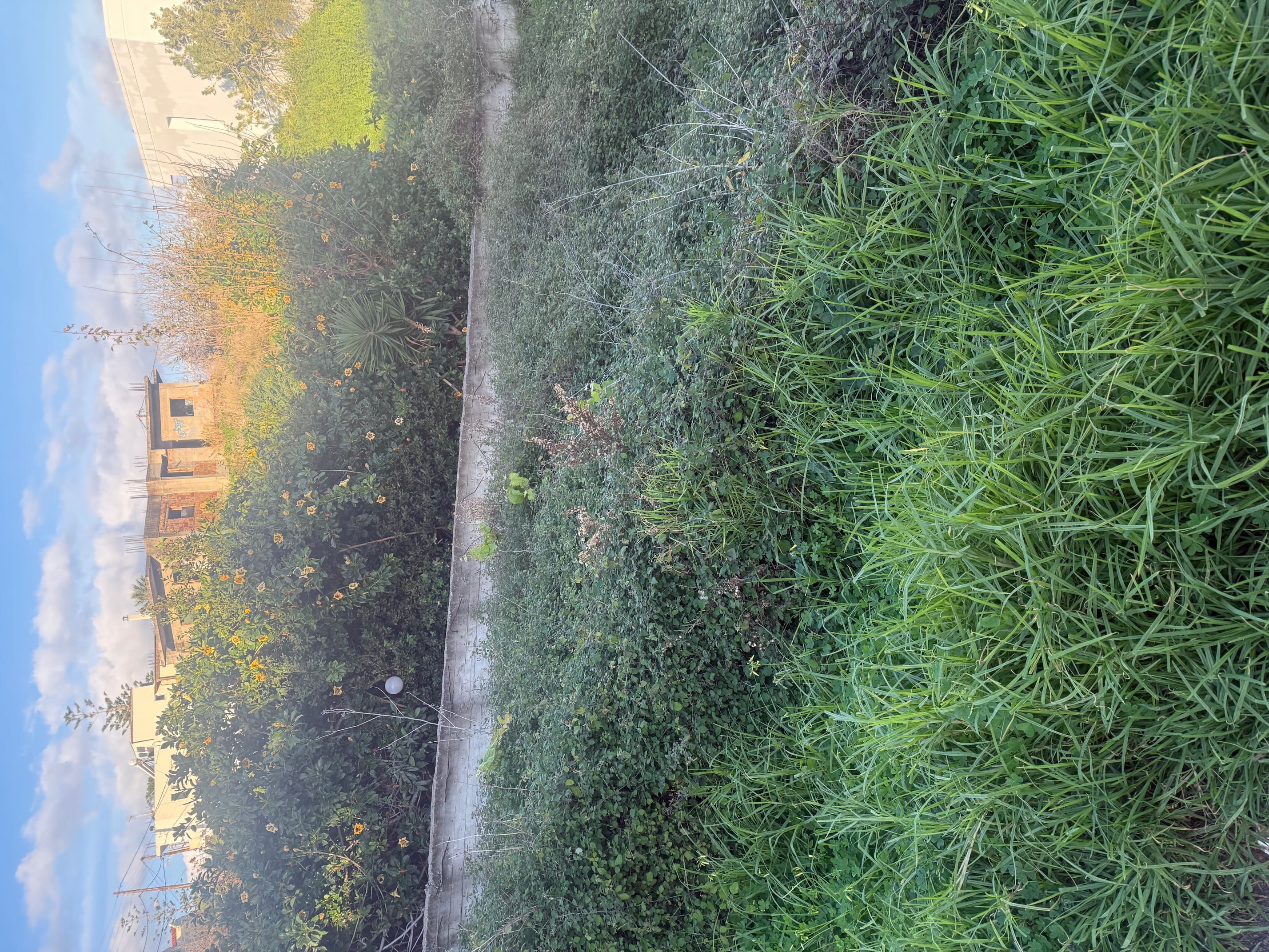 photo5