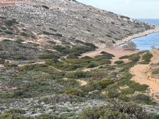 photo2