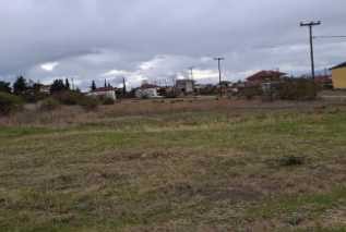 photo5