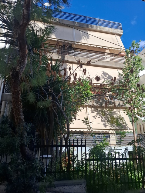 photo2