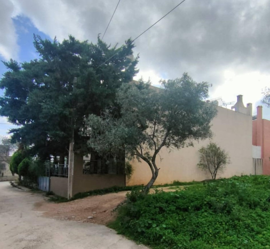 photo1