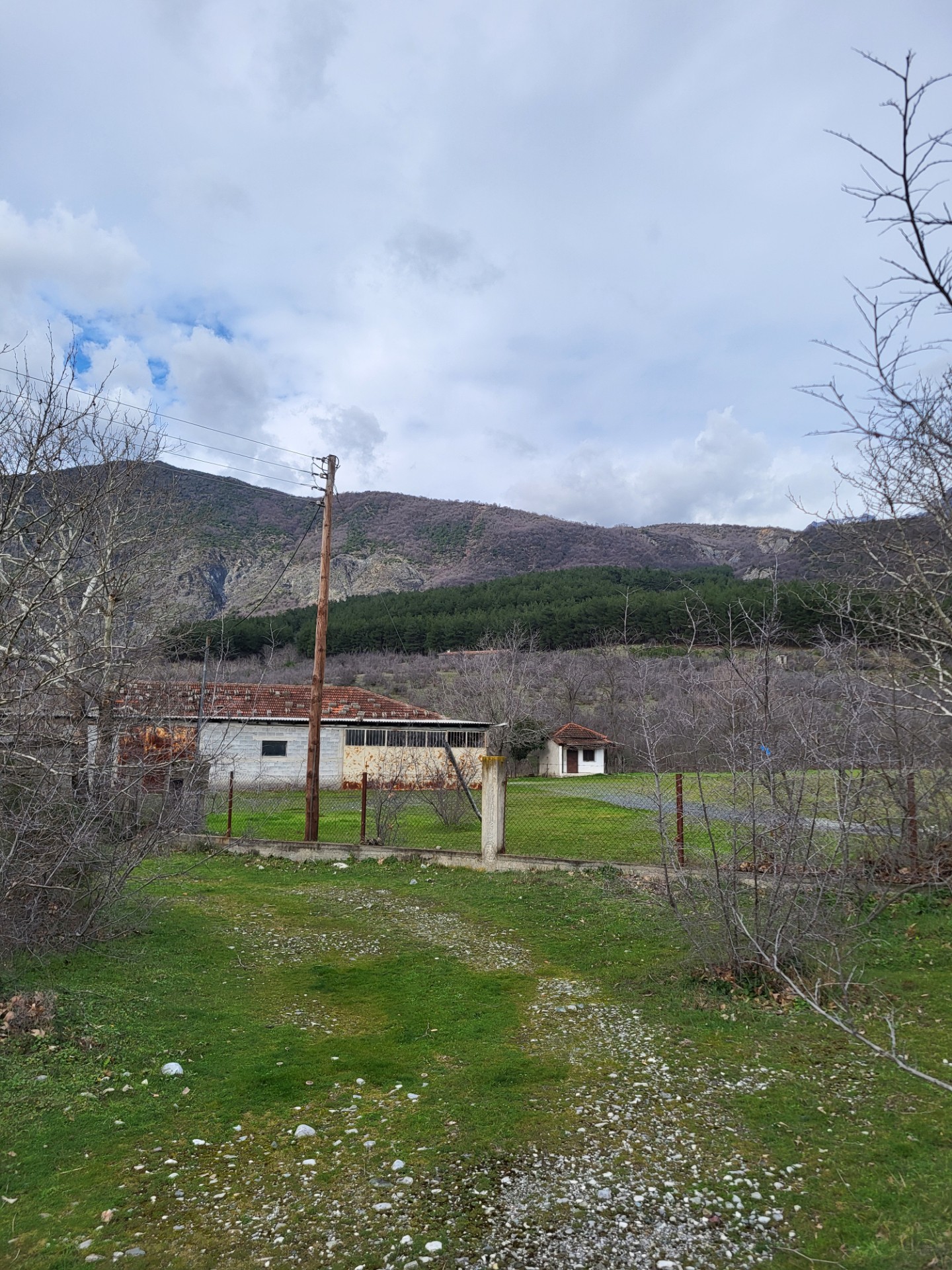 Αγροτεμάχιο με κτίσμα  σε πλειστηριασμό Municipality of Almopia