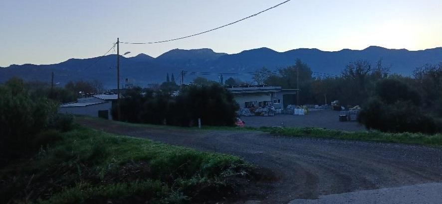 photo1