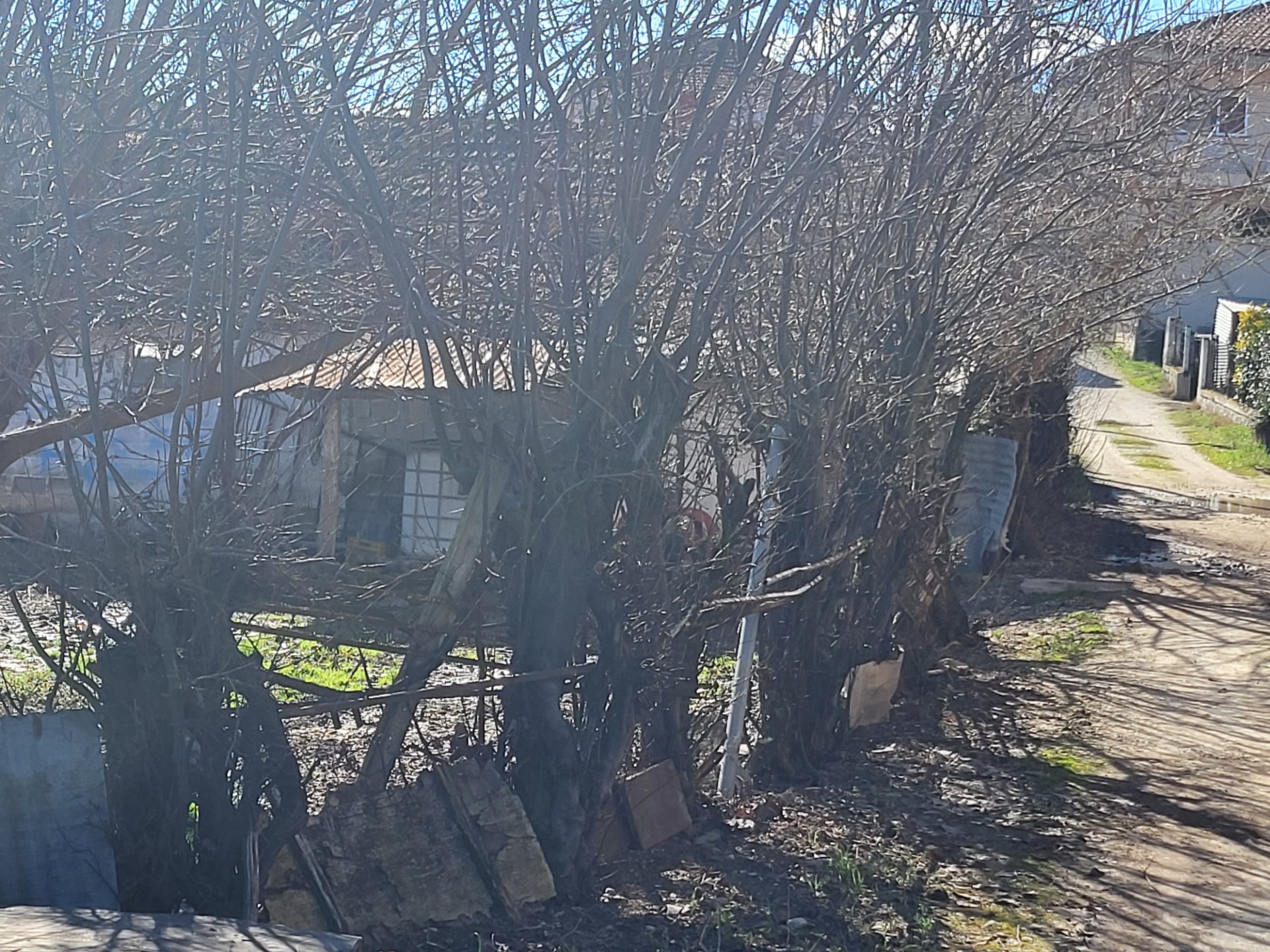 photo0