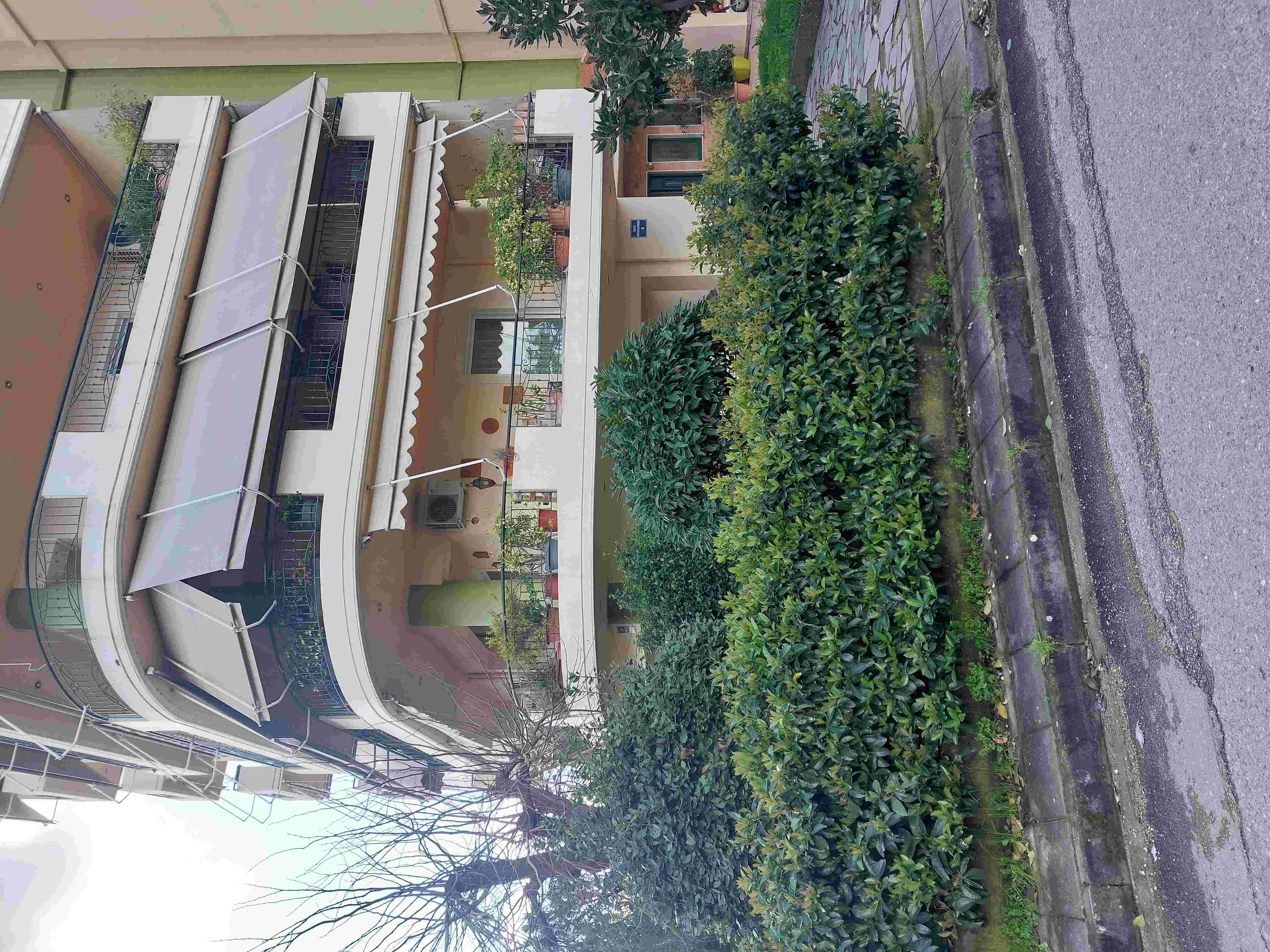 photo1