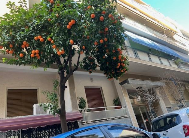 Κατοικία  σε πλειστηριασμό Δήμος Καλλιθέας