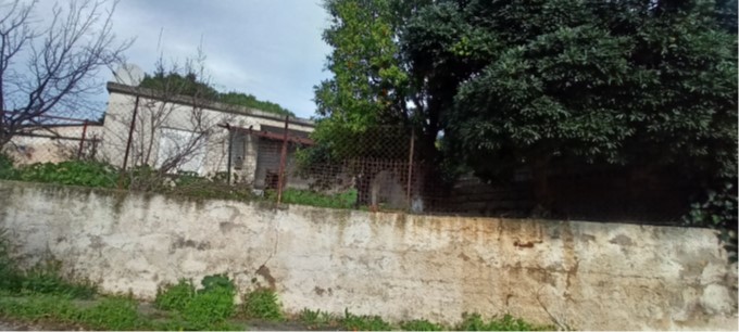 photo0