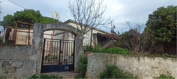 photo1