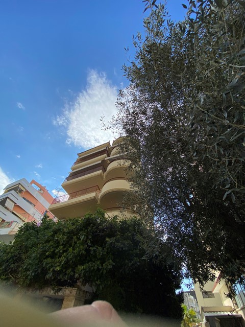 photo1