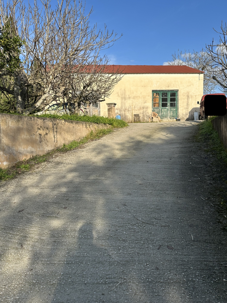 photo2