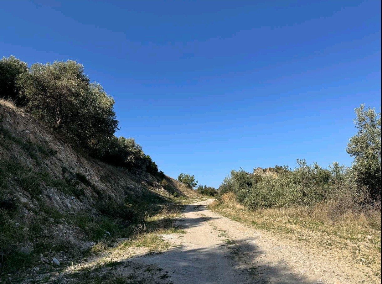 Αγροτεμάχιο  σε πλειστηριασμό Δήμος Αλμυρού