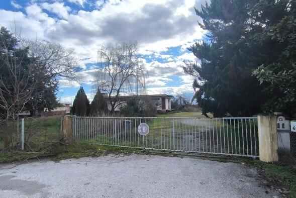 photo1