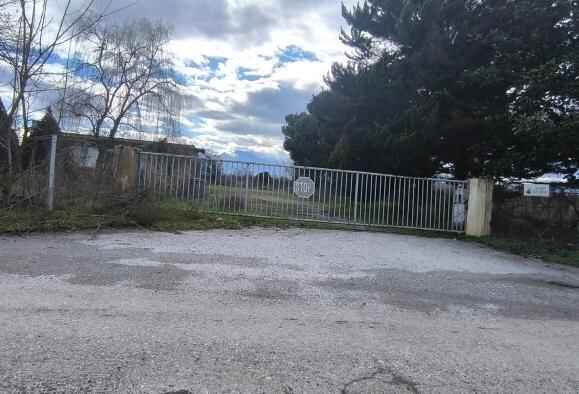 photo2
