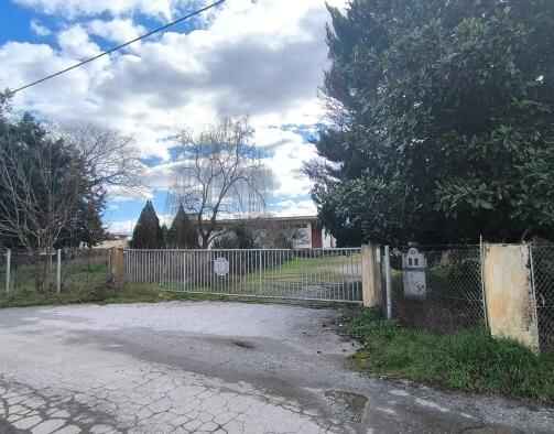 photo3
