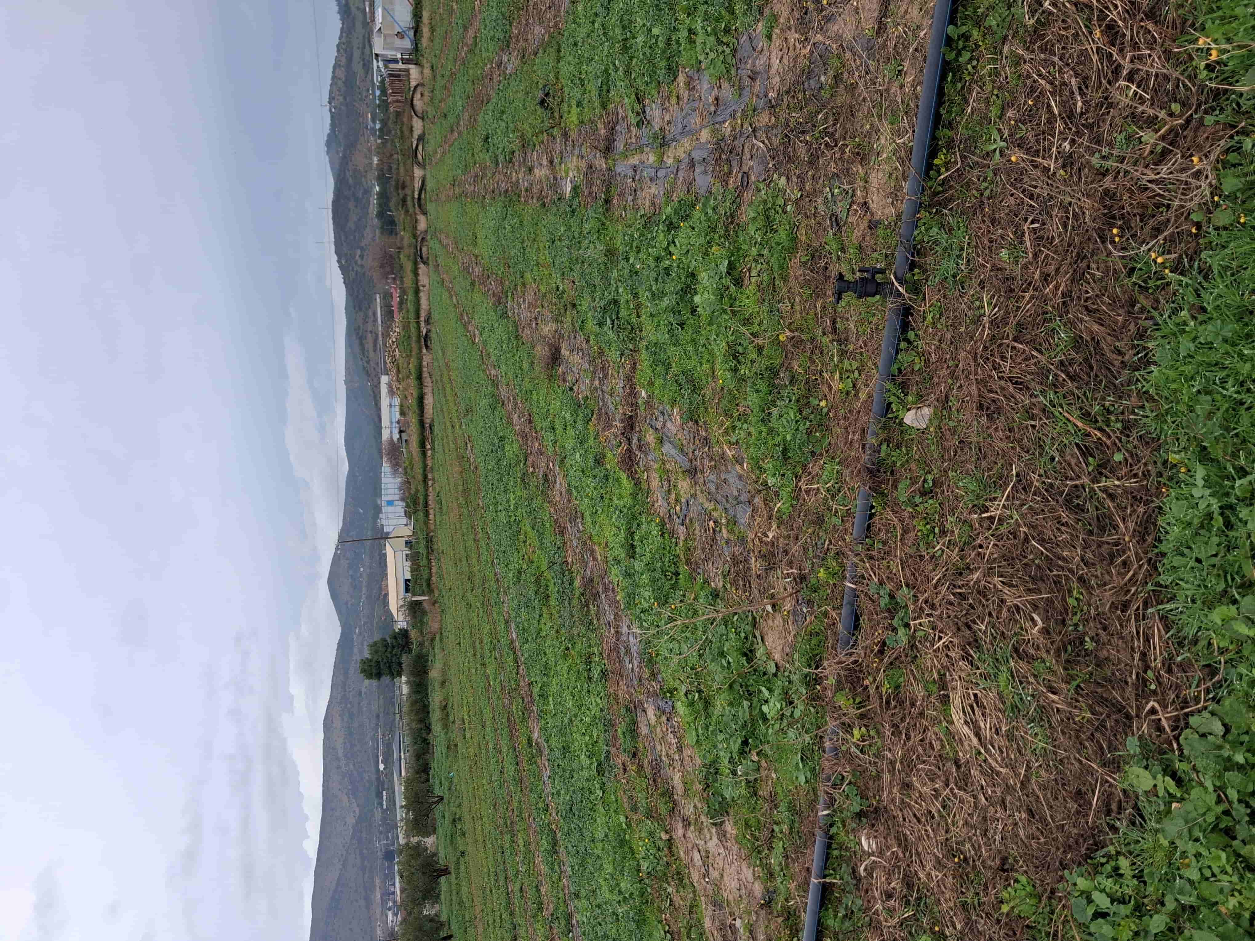 photo1