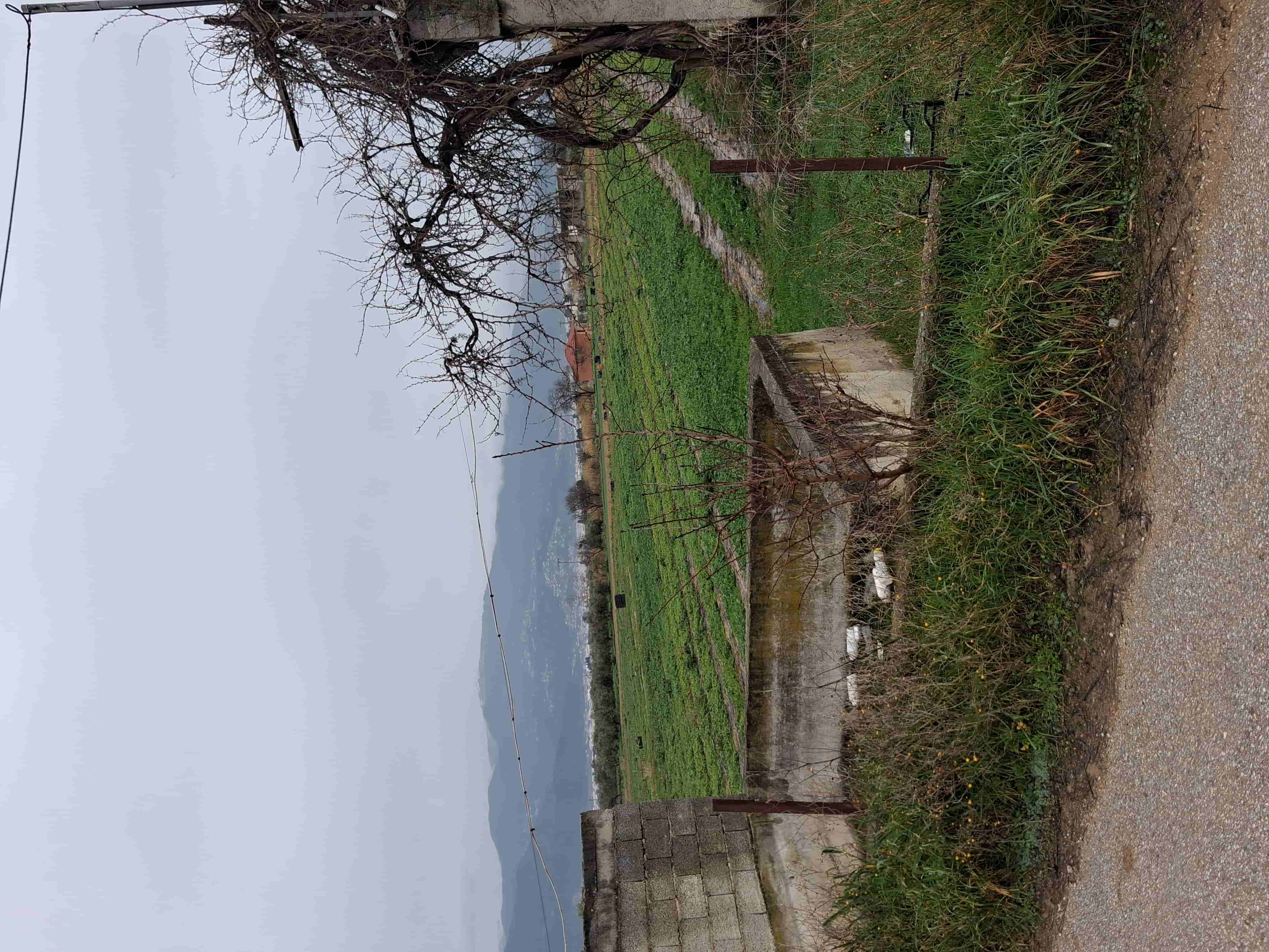 photo0