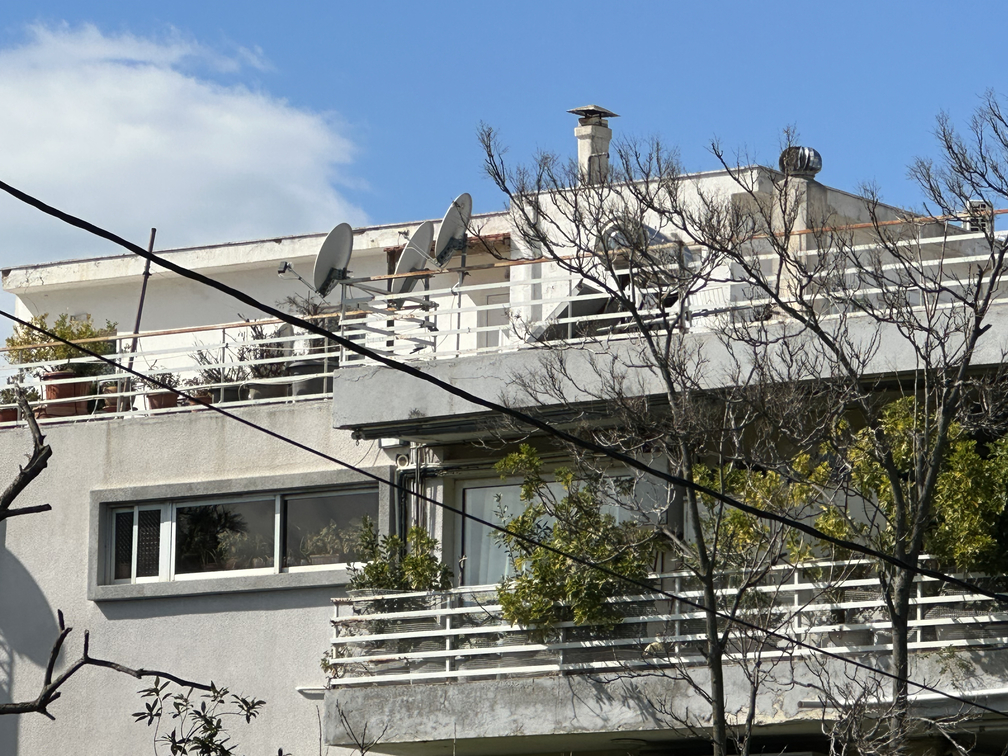 photo8