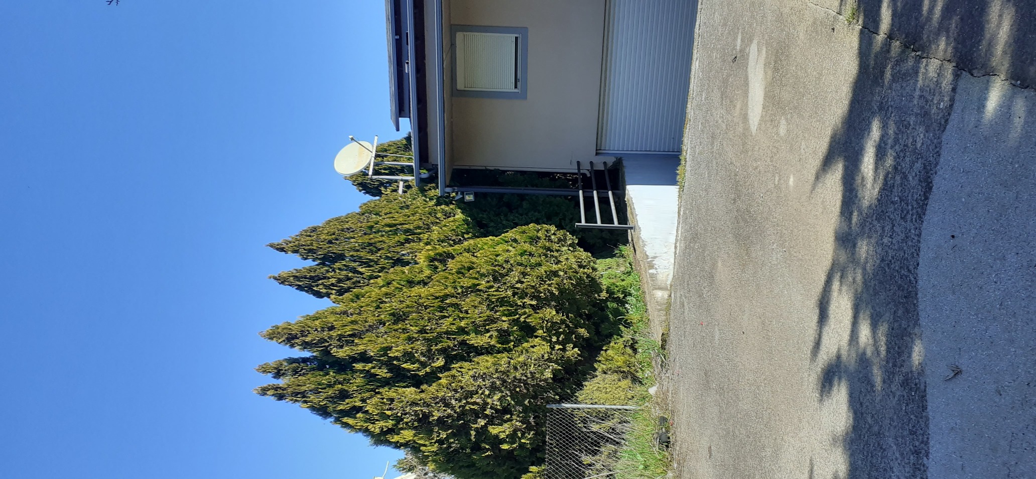 photo0