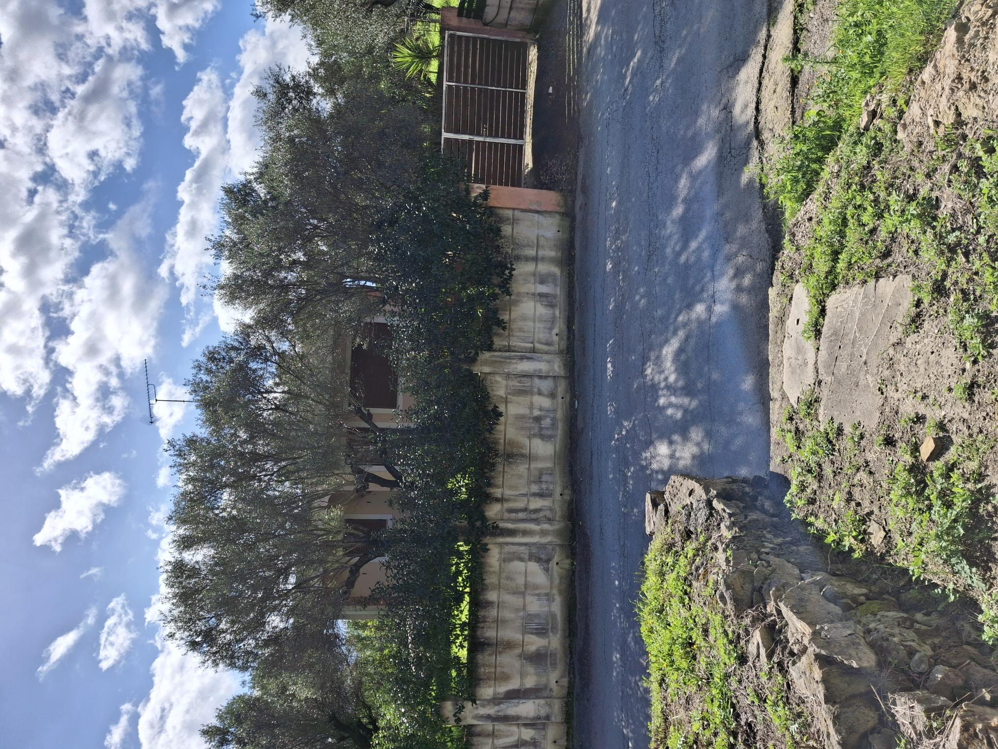 photo4