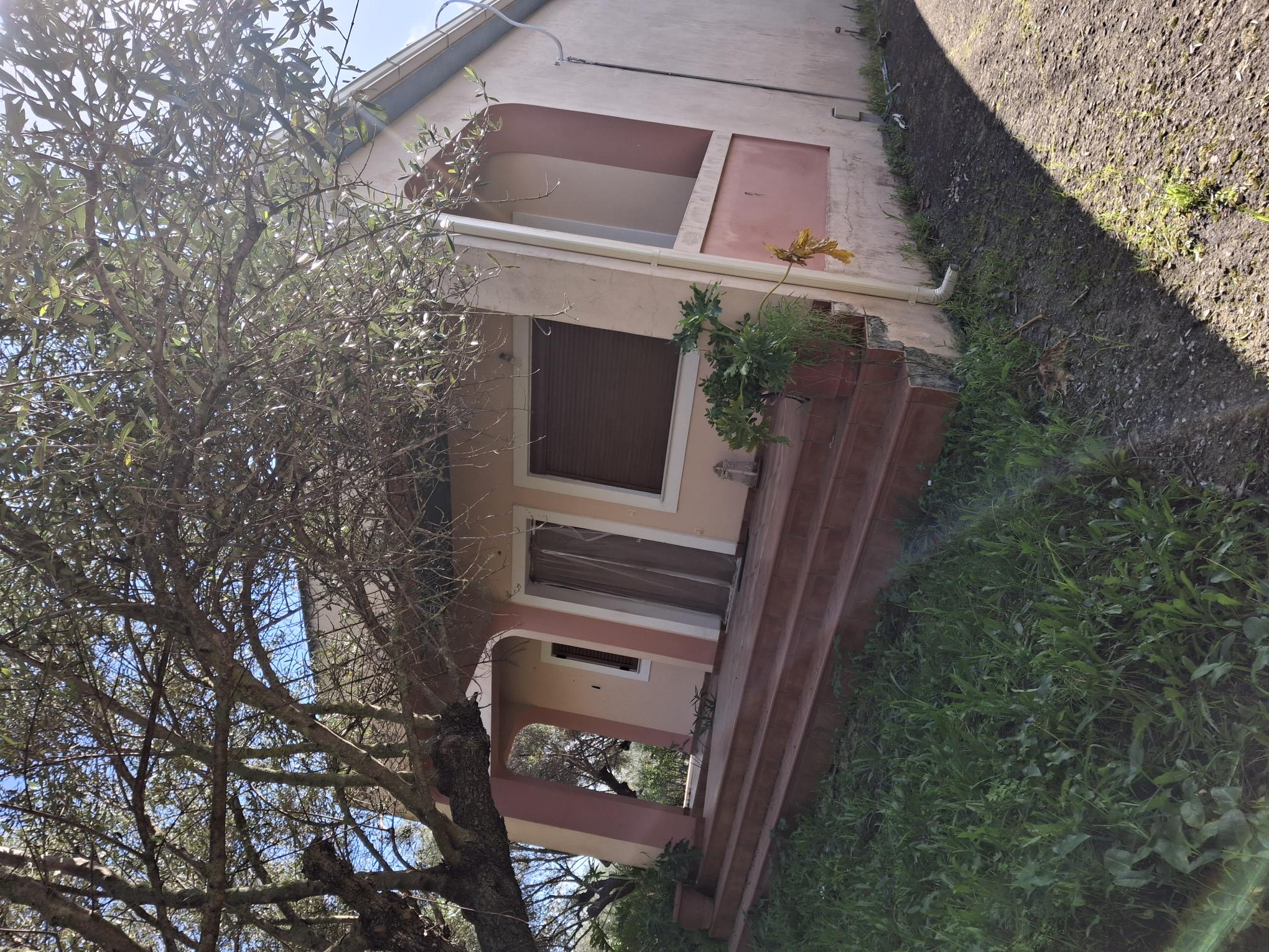 photo2
